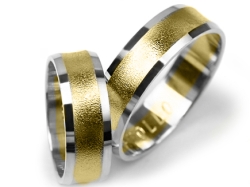 Obrączki ślubne dwukolorowe wklęsłe 6mm Premium P-APOLLO-k